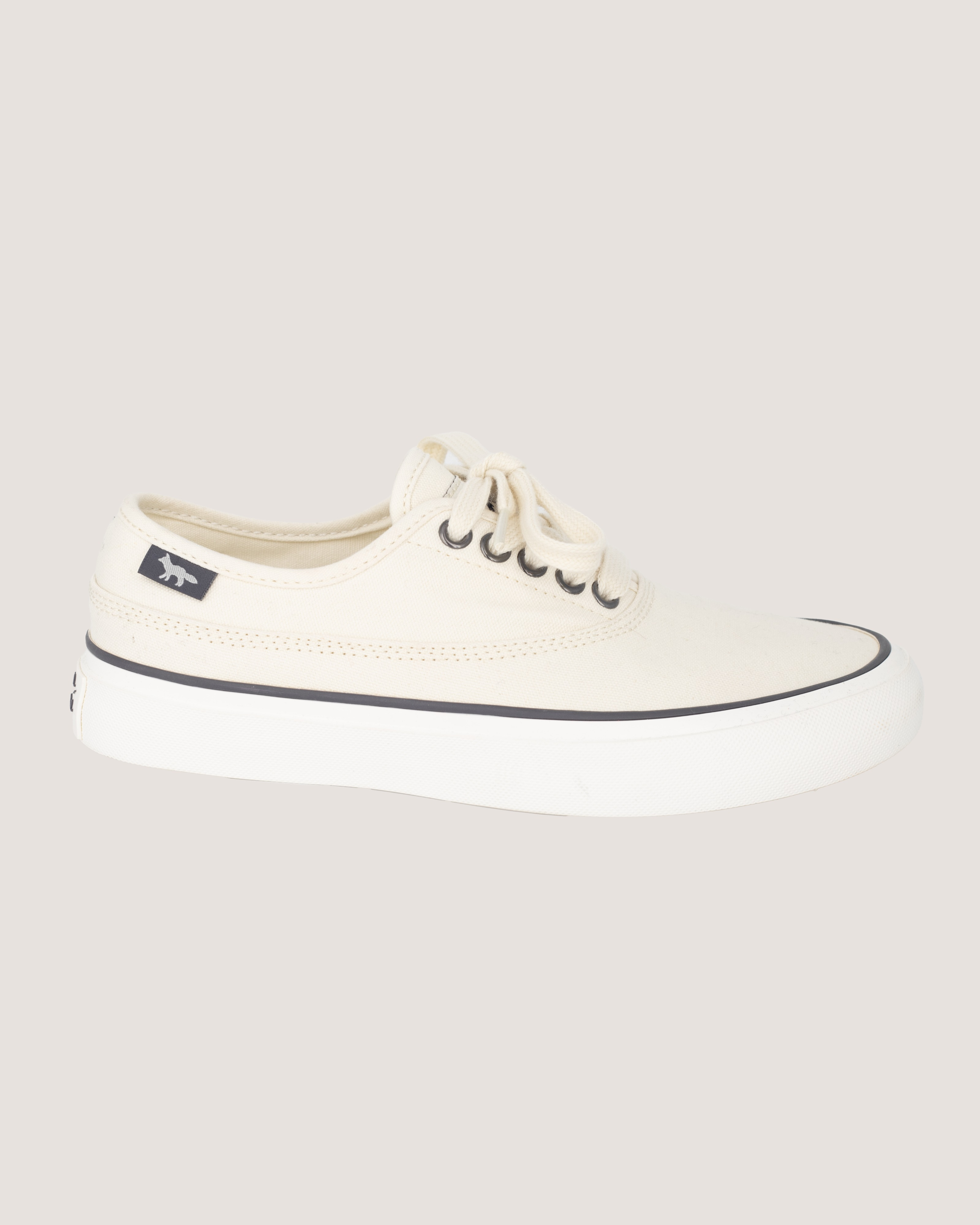 CANVAS\u0020SNEAKERS