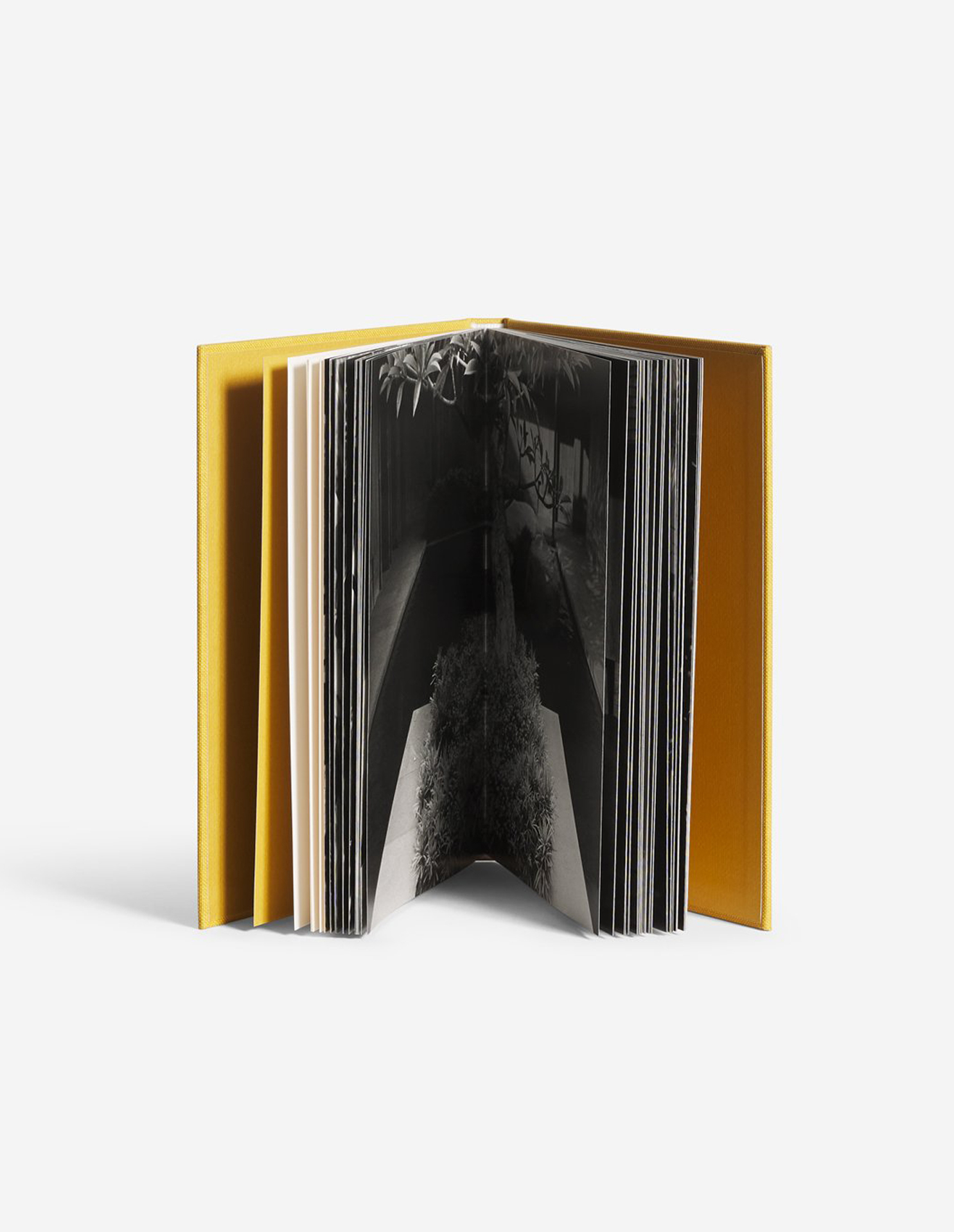 Rumah\u0020Rubah\u0020Pierrot\u0020Photobook