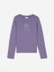 aster