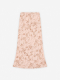 scallop shell