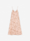 scallop shell